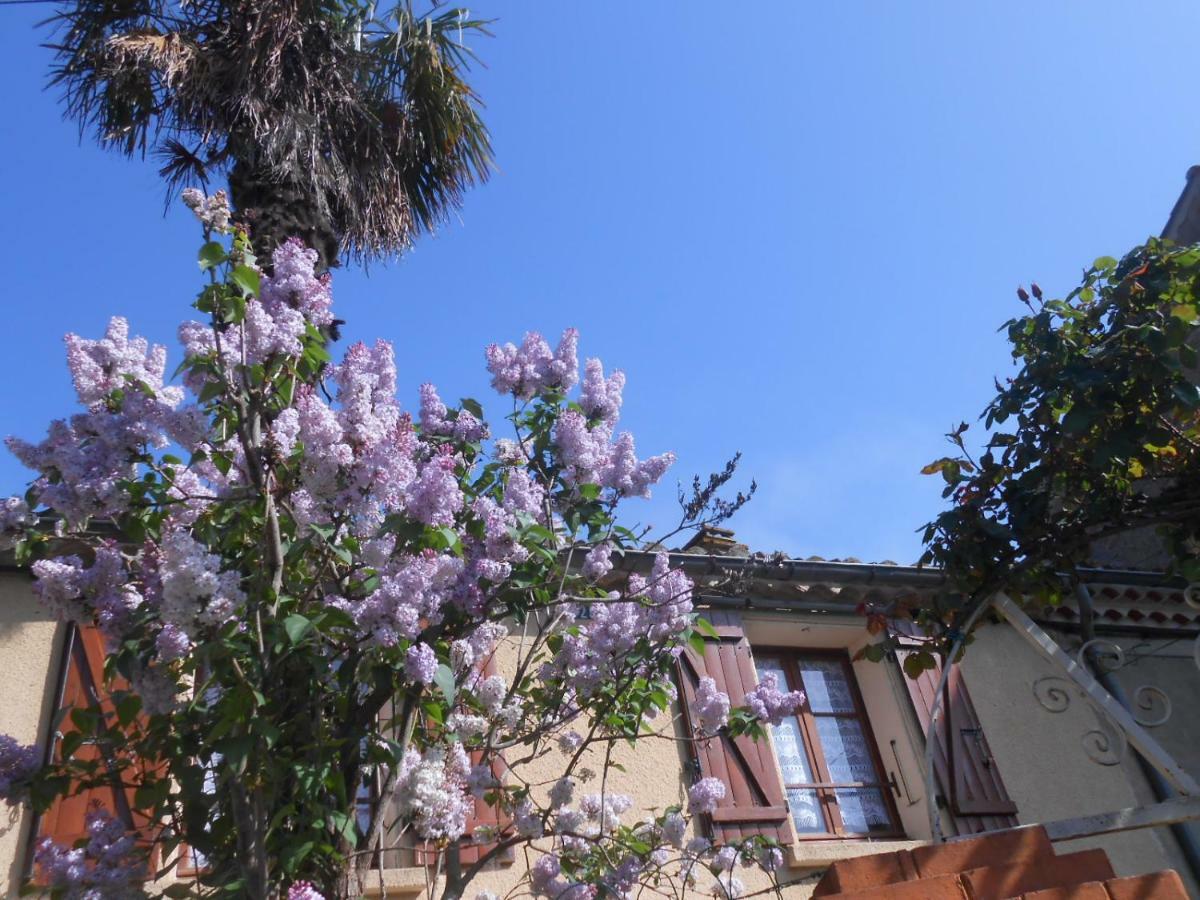 Maison Palmeral Coustaussa Buitenkant foto