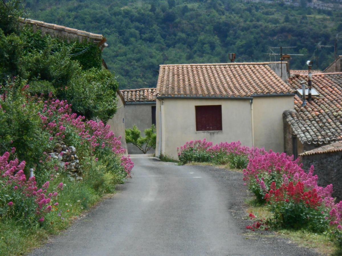Maison Palmeral Coustaussa Buitenkant foto